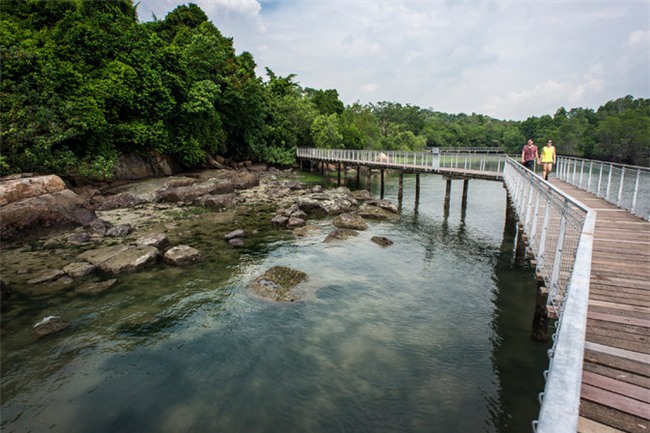 Pulau Ubin, du lịch Singapore, Singapore, du lịch biển đảo, du lịch Đông Nam Á