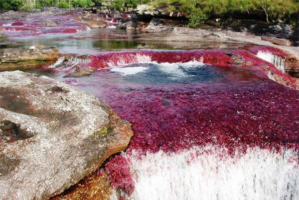 song ngu sac, cau vong nuoc, doc nhat vo nhi, song dep nhat, Colombia, sông ngũ sắc, cầu vồng nước, độc nhất vô nhị, sông đẹp nhất