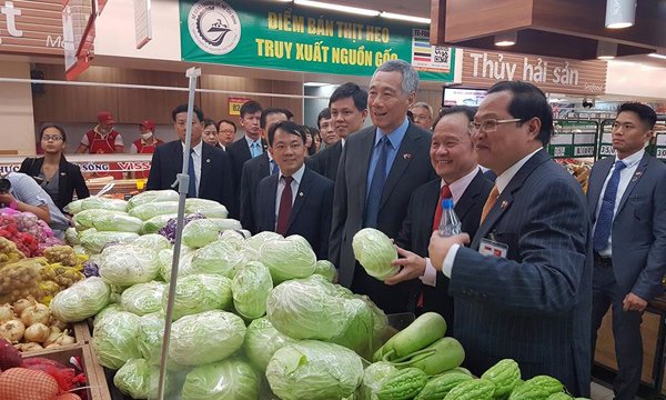 Thủ tướng Lý Hiển Long, Thủ tướng Singapore, Thủ tướng Singapore đi siêu thị, Singapore
