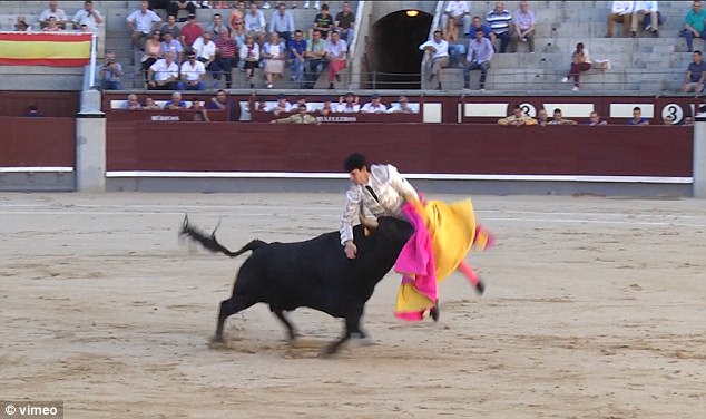 Người đấu bò có tên Juan Miguel bị thương khá nặng ở cổ và hông.
