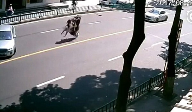 Ngã lộn nhào giữa đường, chiếc xe máy tự rồ ga bỏ chạy vì giận dỗi khổ chủ - Ảnh 2.