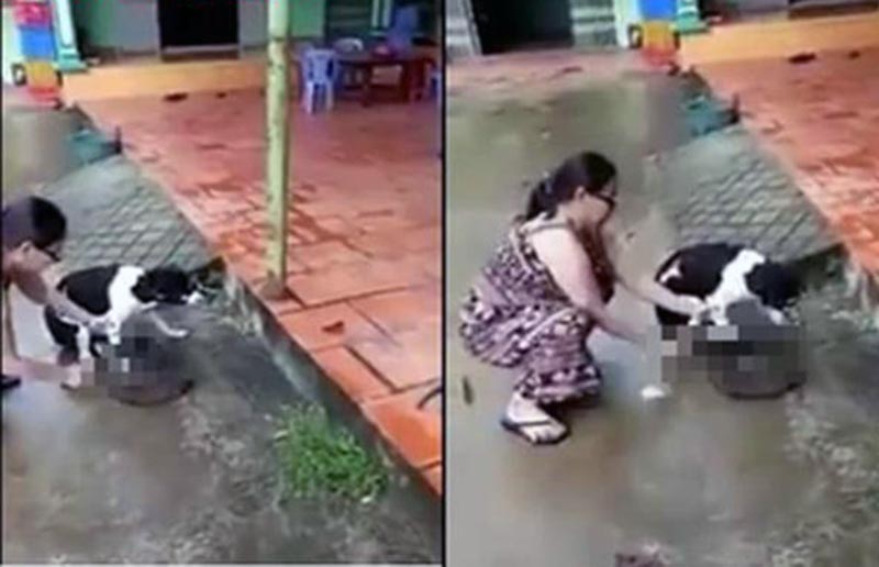 Chặt chân chó, Người phụ nữ chặt chân chó, Phú Quốc