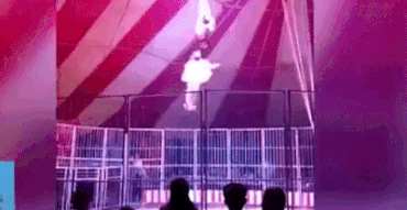 Nghe si 14 tuoi Trung Quoc nga tu do cao 3 m ngay tren san khau hinh anh 1