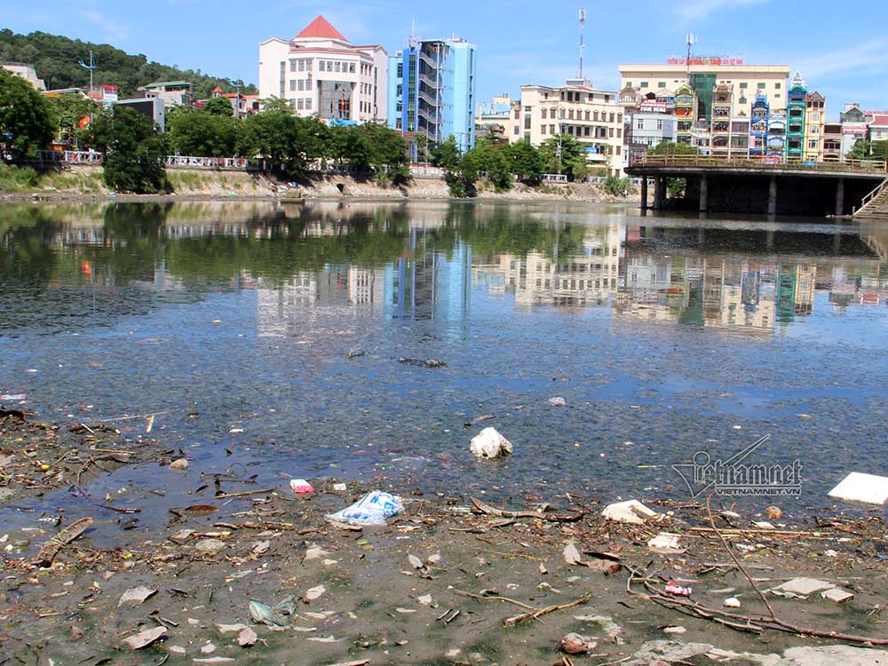 hồ Cô Tiên,ô nhiễm môi trường,Hạ Long