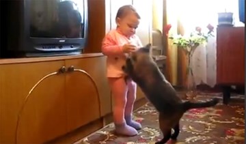 Em bé đáng yêu giành mèo con từ mèo mẹ