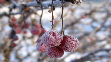 Hàng vạn khách du lịch đổ về Sa Pa