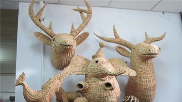 Lục bình, bẹ chuối cũng có thể xuất khẩu