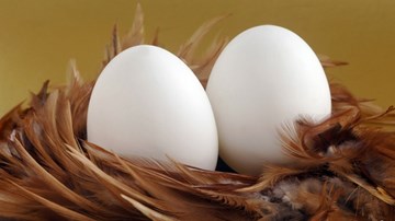 Ghi điểm bằng các tiểu xảo với trứng có một không hai