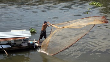 Làng chài cuối cùng trên sông Sài Gòn