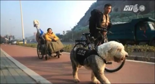 Kéo bạn gái ngồi xe lăn đi khắp đất nước