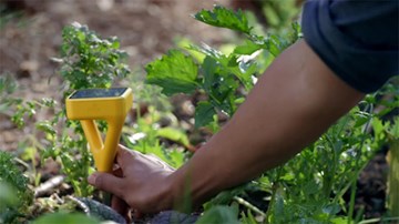 Hệ thống cảm biến làm vườn thông minh