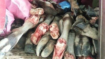 Thực phẩm bốc mùi liên tiếp tấn công thị trường