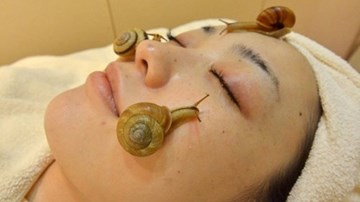 Thả ốc sên bò trên mặt để ...làm đẹp