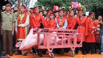 Kêu gọi chấm dứt lễ hội chém lợn ở Bắc Ninh
