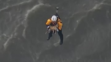 Trực thăng cứu chú chó giữa dòng nước lũ