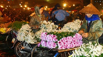 Chợ hoa đêm lớn nhất Hà Nội ngày giáp Tết