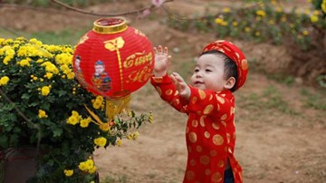 Bo yêu khám phá Tết