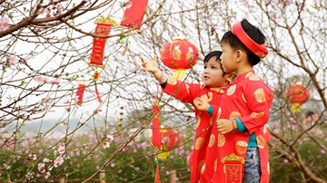 Công bố kết quả cuộc thi 
