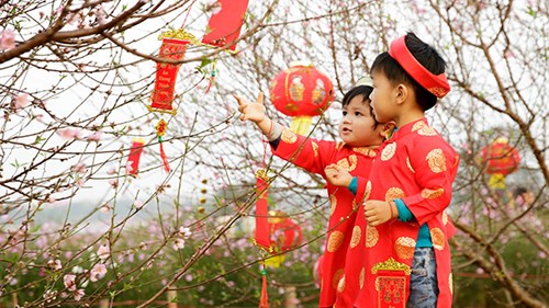 Công bố kết quả cuộc thi 