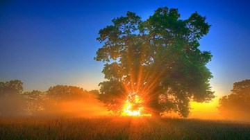 Cuộc sống là ở ngoài kia, không phải trên màn hình máy tính