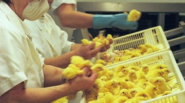 Công việc lương 1,3 tỷ/năm cũng không ai muốn làm