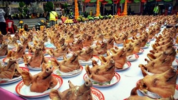 Đại gia lễ chùa đầu năm bằng ... 300 đầu heo
