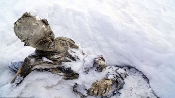 Đi leo núi vấp phải... xác ướp đông lạnh