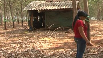 Em dâu tổ chức lừa chị dâu vào nhà hoang để cướp