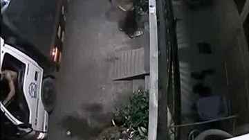 Táo tợn đánh xe tải đi trộm cây cảnh