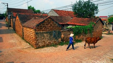 Dân làng cổ vẫn chưa hết khổ