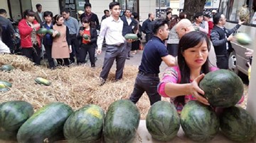 Tiêu thụ nông sản bằng tình thương?