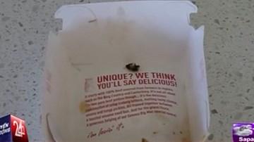 Phát hiện gián chết trong sản phẩm của McDonald’s tại New Zealand