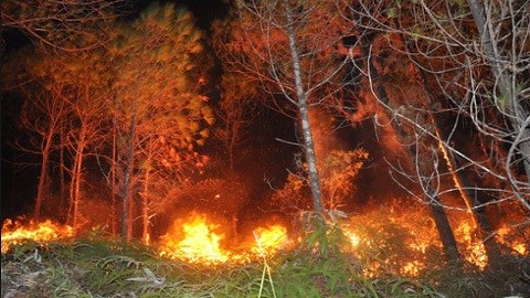 Cháy rừng liên tiếp ở Cao Bằng do đốt vàng mã