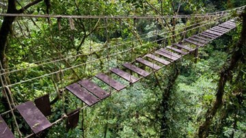 Những cây cầu đáng sợ nhất thế giới