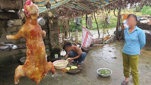 Chuyện người Việt Nam ăn thịt mèo lại lên báo nước ngoài
