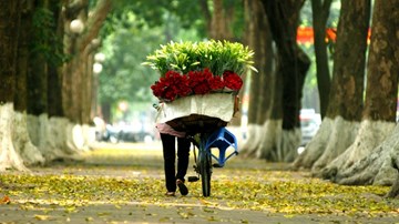 Hà Nội - Mùa cây thay áo