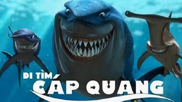 Ai làm đứt tuyến cáp quang AAG?