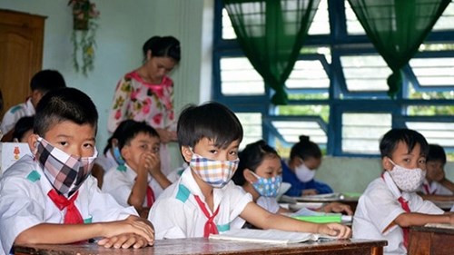 Quảng Nam: Đóng cửa xưởng sản xuất bột liệm tử thi gây ô nhiễm