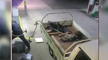 Chết cười tên trộm ngu ngốc mang dây xích đi trộm cây ATM