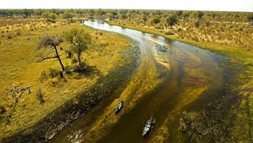 Đồng bằng Okavango - ốc đảo diệu kỳ của châu Phi