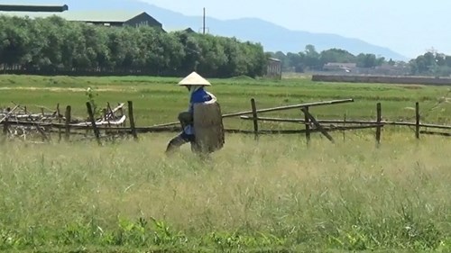 Áo tơi cháy hàng để chống nắng nóng 40ºC