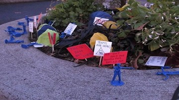 Công viên nhỏ nhất thế giới: Không lớn hơn cái chậu hoa!