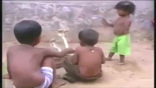 Trẻ em Ấn Độ vô tư nô đùa cùng rắn hổ mang như thú cưng