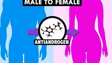 Hé lộ liệu pháp hoóc môn biến đàn ông thành phụ nữ