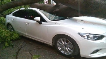 Một số cách phòng, tránh, ứng phó với dông lốc