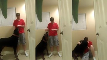 Cún vỗ về cậu chủ đang buồn làm lay động hàng triệu trái tim