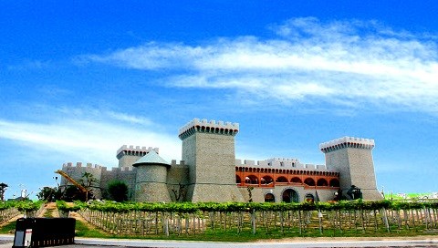 Thăm lâu đài rượu vang ở Bình Thuận