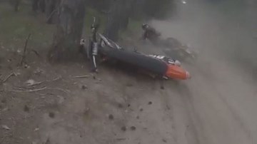 Phóng xe bạt mạng trong rừng suýt mất mạng vì đâm trúng gấu