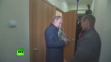 Tổng thống Putin cưng nựng mèo sống sót trong cháy rừng