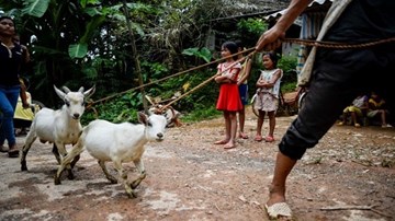 Phụ huynh nông thôn lo lắng trước thềm năm học mới